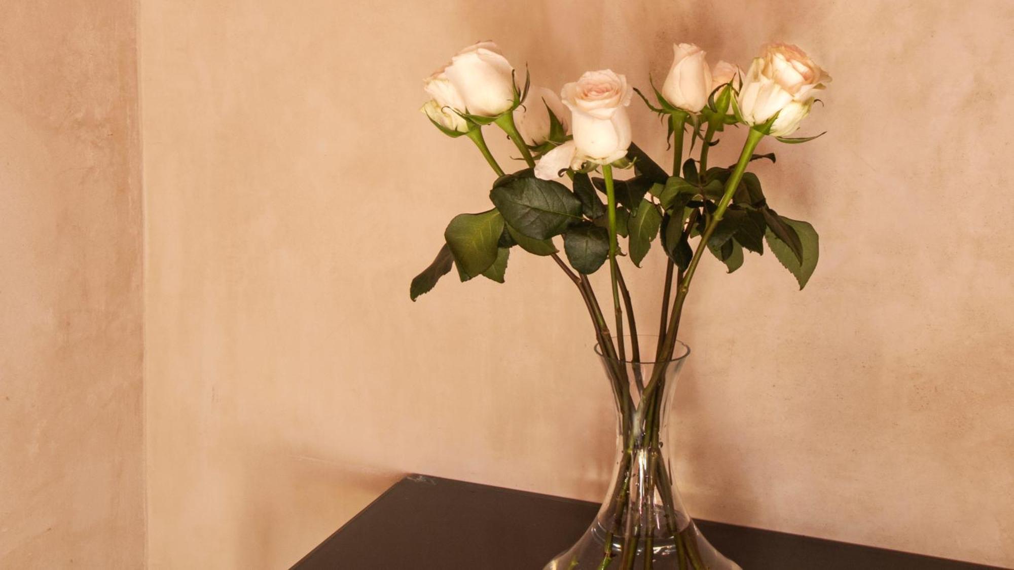 Rosas & Xocolate Boutique Hotel And Spa Merida, A Member Of Design Hotels Экстерьер фото