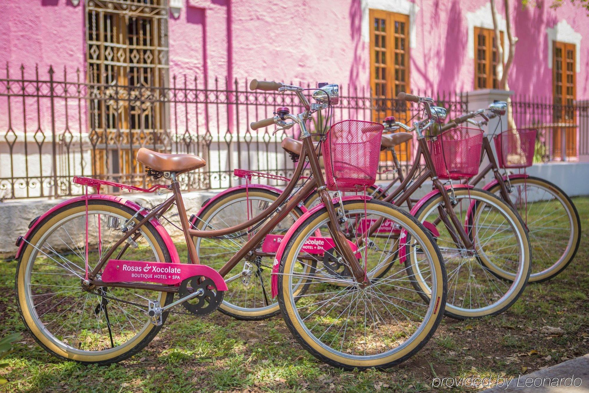 Rosas & Xocolate Boutique Hotel And Spa Merida, A Member Of Design Hotels Экстерьер фото